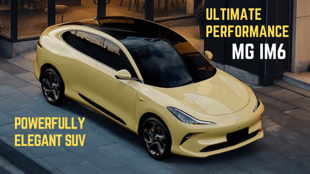mg im6 Ultimate Performance