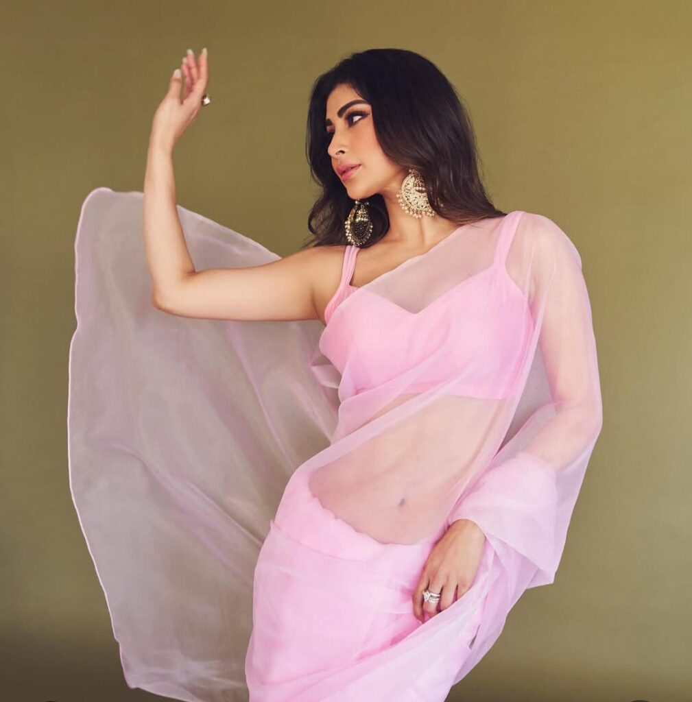 Mouni Roy Net Worth 2025